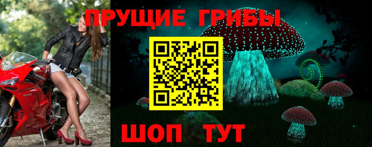 Псилоцибиновые грибы мухоморы  Псилоцибиновые грибы мицелий  Вход с VPN  Красноармейск 